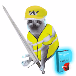 Cash Cat #4810