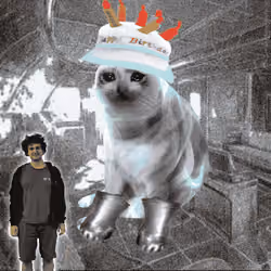Cash Cat #6039