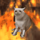 668