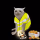 1208