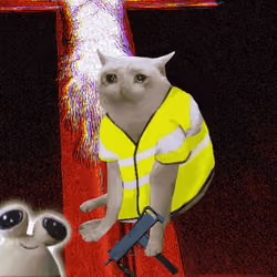 Cash Cat #6284