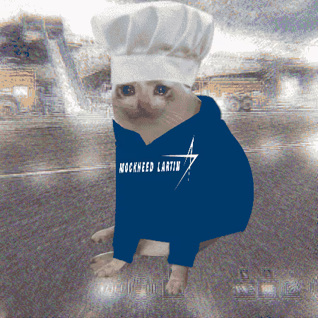 Cash Cat #1343