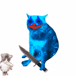 Cash Cat #5276