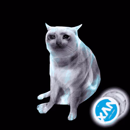 Cash Cat #2137