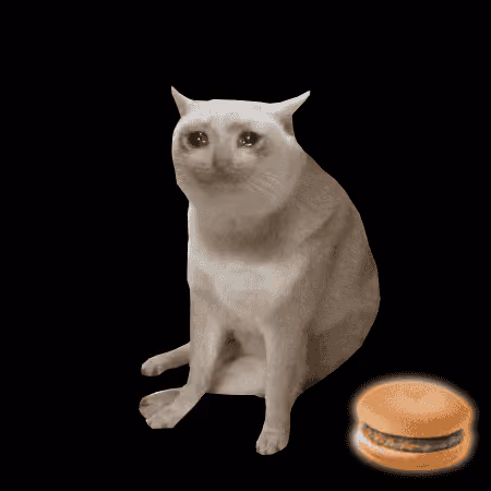 Cash Cat #2055