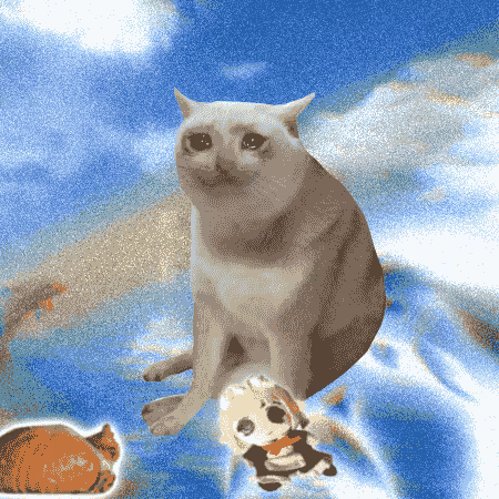Cash Cat #3467