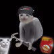 Cash Cat #3014