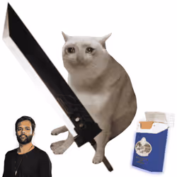 Cash Cat #8704