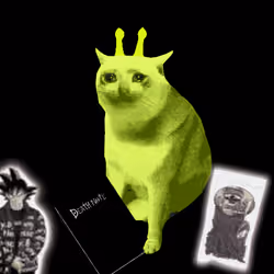 Cash Cat #9875