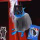 FOMOFund