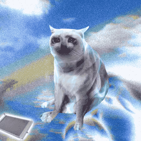 Cash Cat #6569