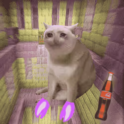 Cash Cat #4182