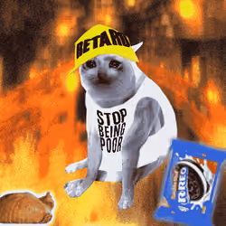 Cash Cat #1481