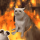 7929