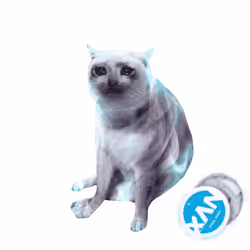 Cash Cat #4384