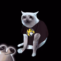 Cash Cat #1038