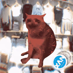 Cash Cat #4624