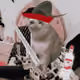 Cash Cat #7760