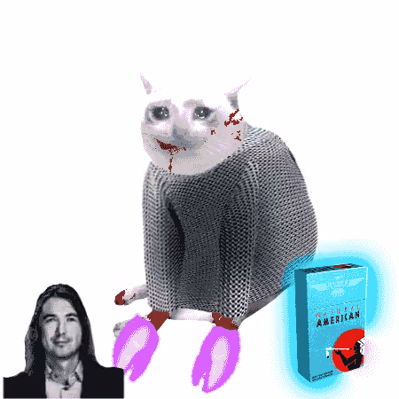 Cash Cat #7641