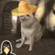 8502