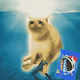 Cash Cat #265