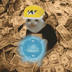 Cash Cat #963