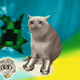 8205