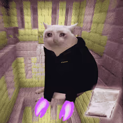 Cash Cat #9833
