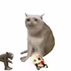 7812