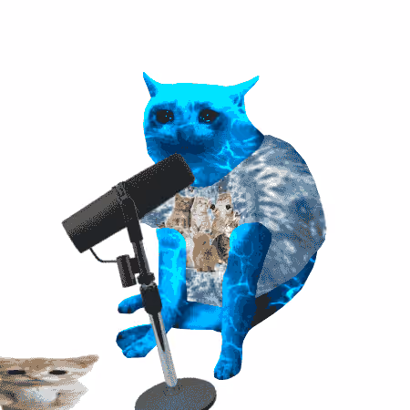 Cash Cat #2253