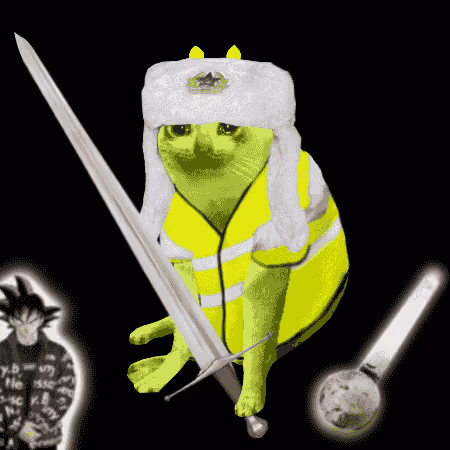 Cash Cat #6543