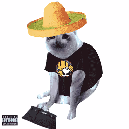 Cash Cat #4885