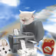 Cash Cat #6532