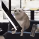 9170