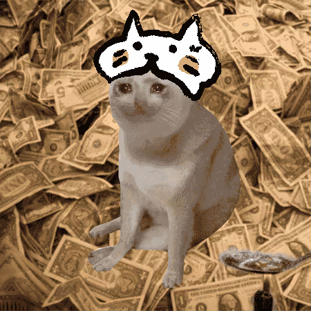 Cash Cat #6126