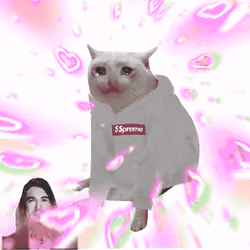 Cash Cat #7997