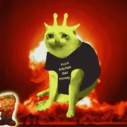 Cash Cat #4532