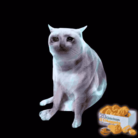 Cash Cat #2005