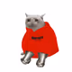 3327