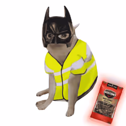Cash Cat #7566