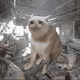 7175