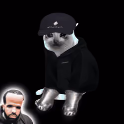 Cash Cat #9190