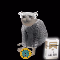 Cash Cat #6060