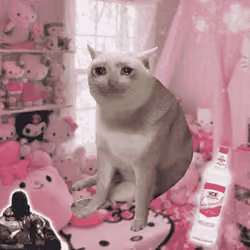 Cash Cat #2637