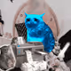 4637