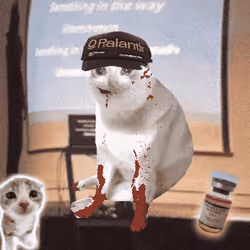 Cash Cat #5887