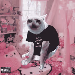Cash Cat #5478