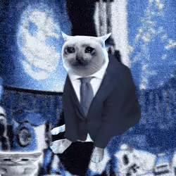Cash Cat #2335
