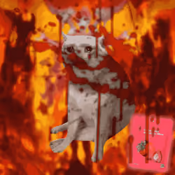Cash Cat #2775