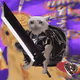 Cash Cat #5066